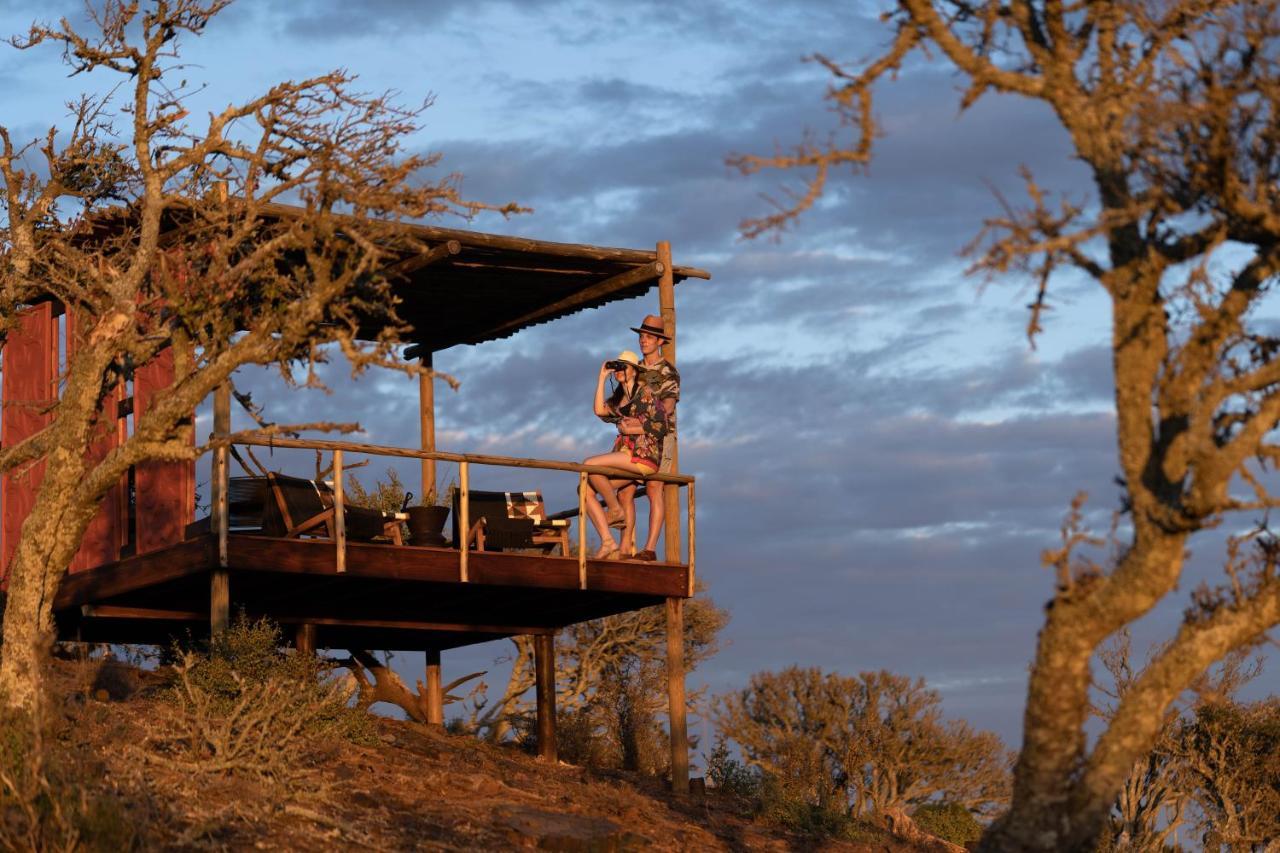 Kuzuko Lodge Addo Exteriér fotografie