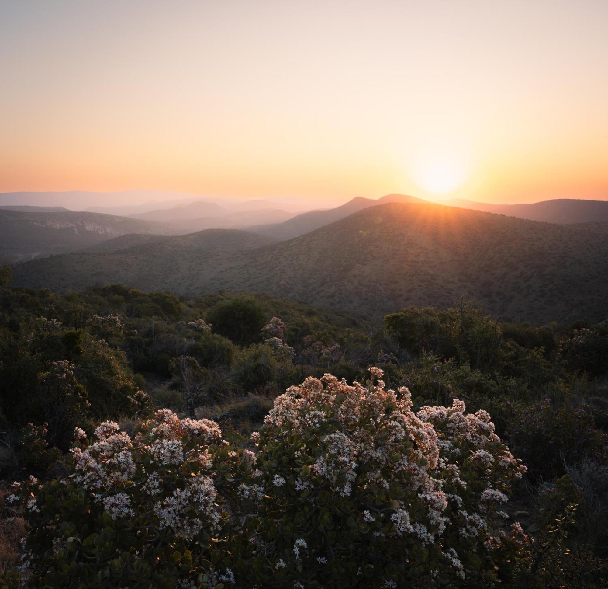 Kuzuko Lodge Addo Exteriér fotografie